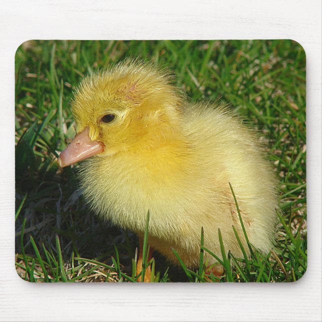 Mousepad Primeira Versão da Estação (Frente)