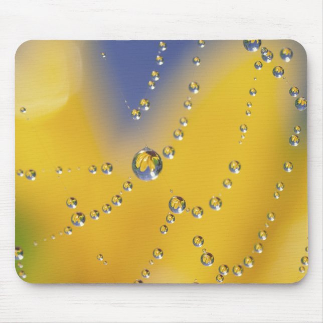 Mousepad Primeiro plano de teia de aranha com gotas de orva (Frente)