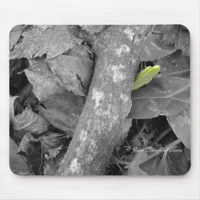 Mousepad Primeiro sinal de Primavera (Frente)