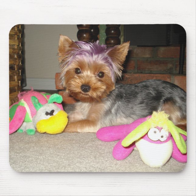 Mousepad Princesa do roxo de Yorkie do Teacup (Frente)