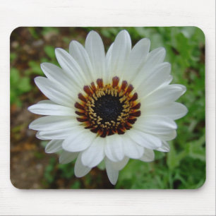 Mousepad Príncipe branco margarida do tribo Zulu