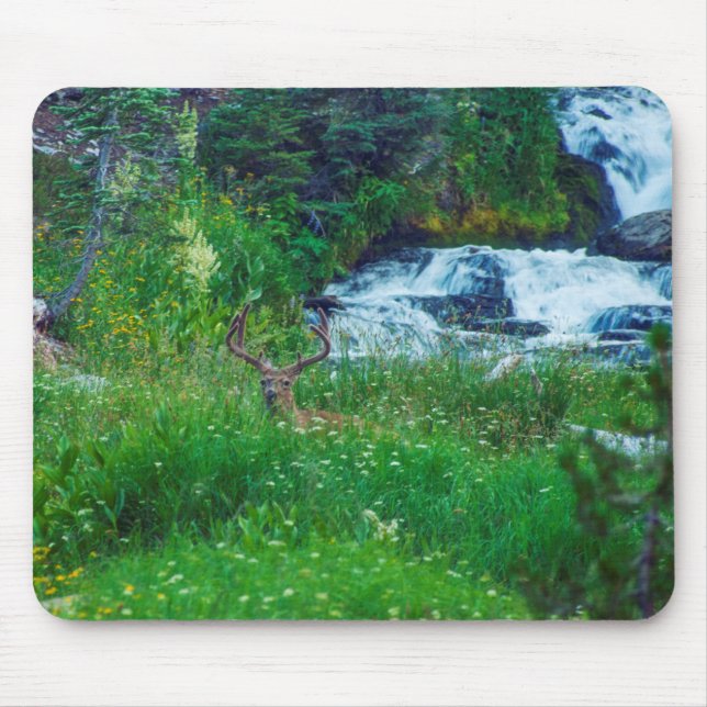 Mousepad Príncipe da Floresta (Frente)