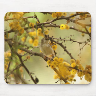 Mousepad Prinia gracioso