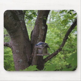 Mousepad Procurando uma mordida para comer