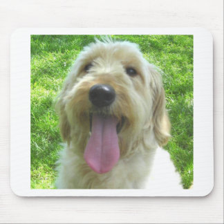 Mousepad Produtos de Goldendoodle