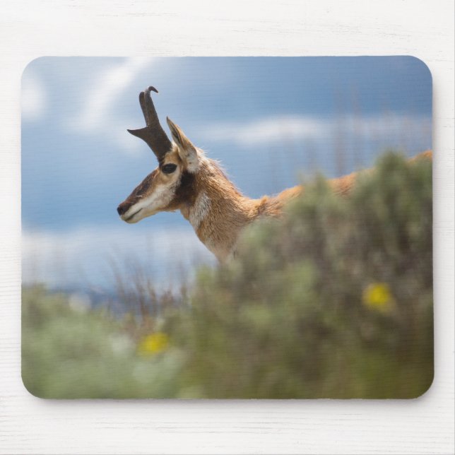 Mousepad Prong Horn Antelope (Frente)