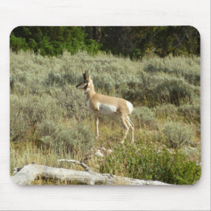 Mousepad Pronghorn no Grand Teton National Park