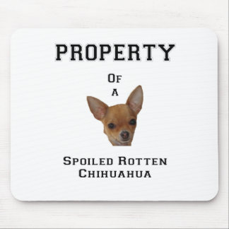 Mousepad Propriedade de uma chihuahua podre estragada