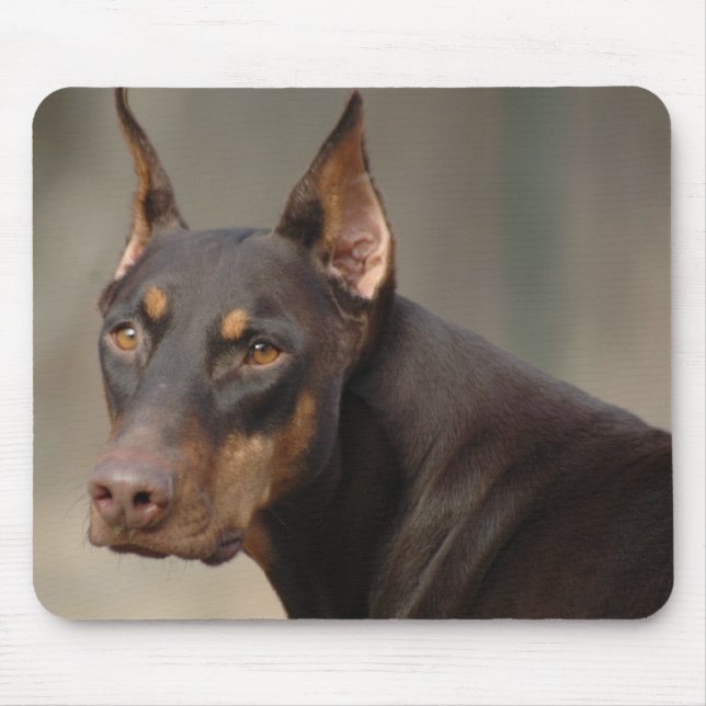 Mousepad Proteção do Doberman (Frente)