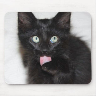Mousepad Proteção do Rato do Gato de Limpeza do Gato