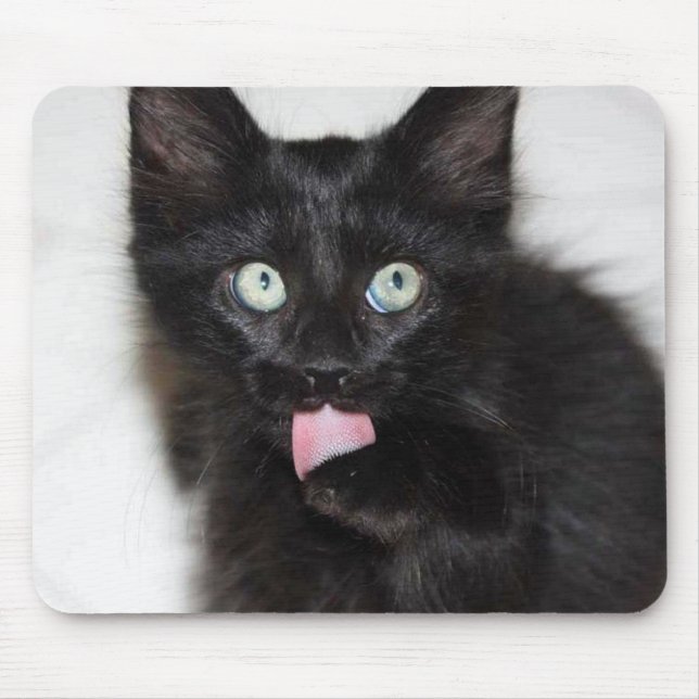 Mousepad Proteção do Rato do Gato de Limpeza do Gato (Frente)