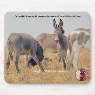 Mousepad Proteger nossos Burros Selvagens