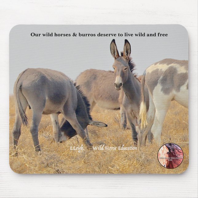 Mousepad Proteja nossos Burros Selvagens (Frente)
