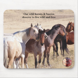 Mousepad Proteja nossos cavalos selvagens