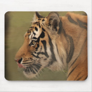 Mousepad prowl