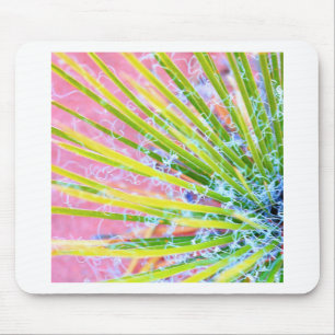 Mousepad Psychedelic Yucca