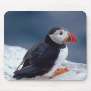 Mousepad Puffin