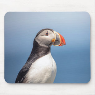 Mousepad Puffin Atlântico em Machias, Maine