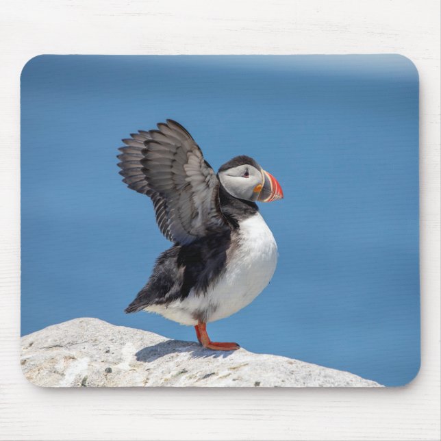 Mousepad Puffin Atlântico em Machias, ME (Frente)