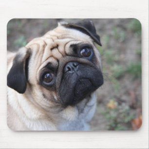 MOUSEPAD PUG