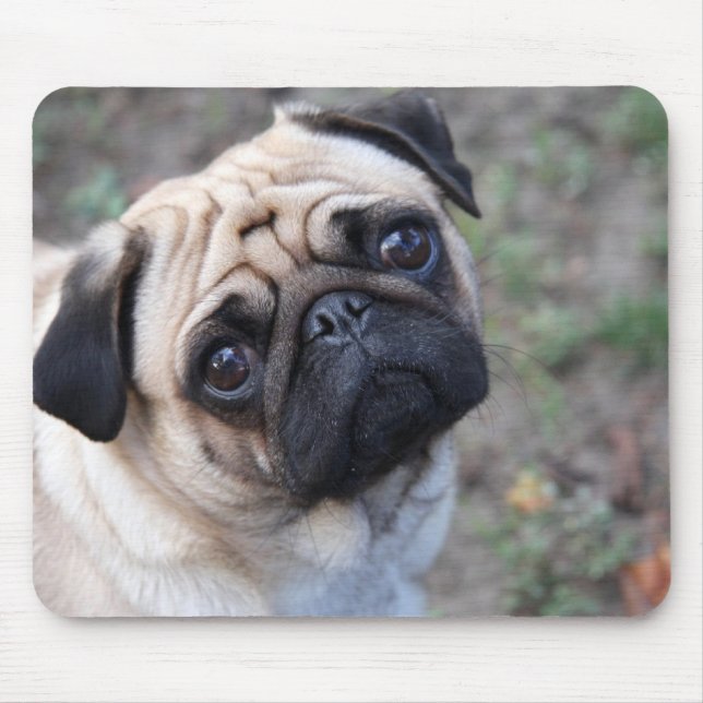 MOUSEPAD PUG (Frente)