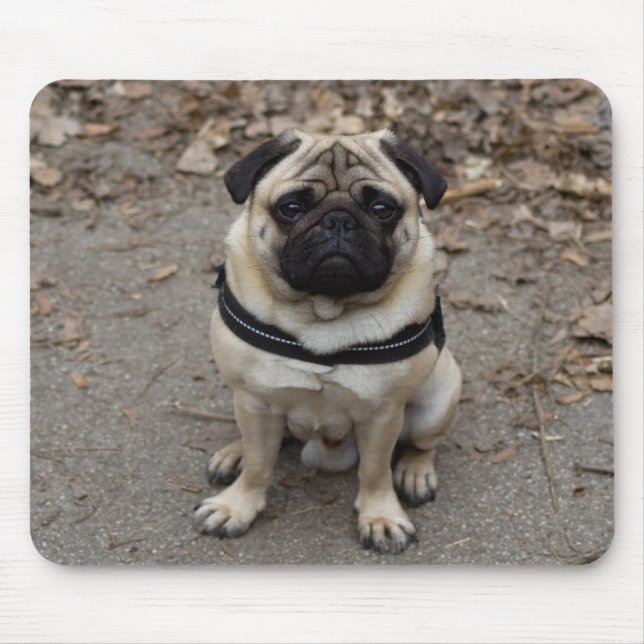 Mousepad Pug (Frente)
