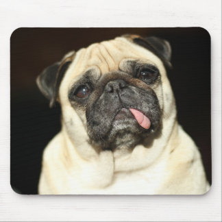 Mousepad pug