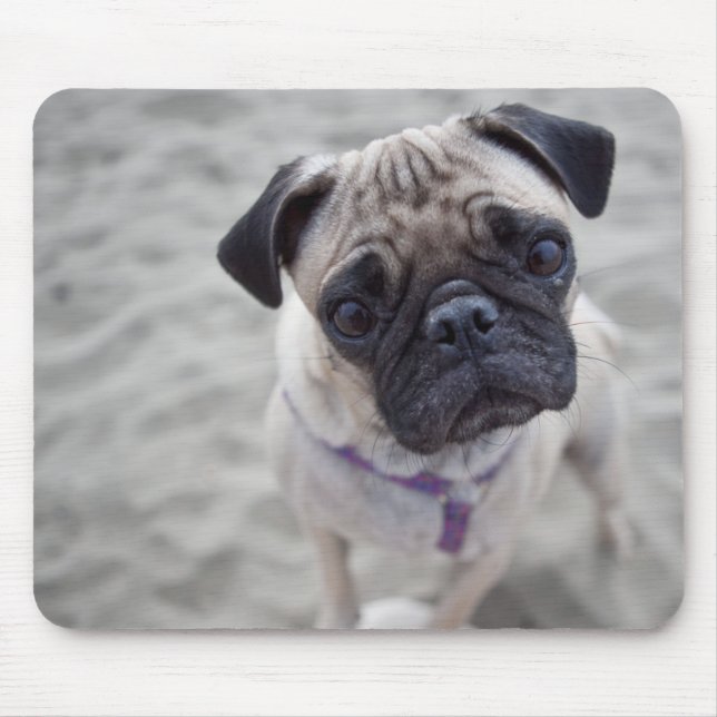 Mousepad Pug Closeup (Frente)