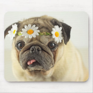 Mousepad Pug com Daisy Crown