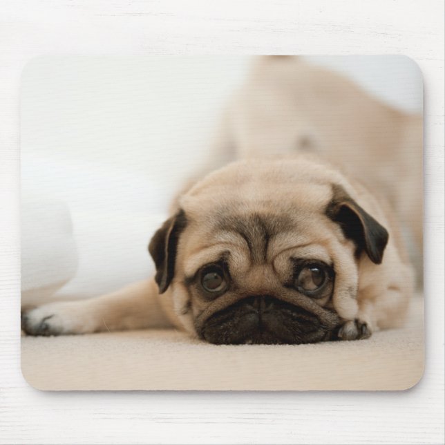 Mousepad Pug da fêmea de Tan (Frente)