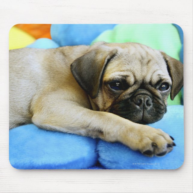 Mousepad Pug deitado em travesseiros (Frente)