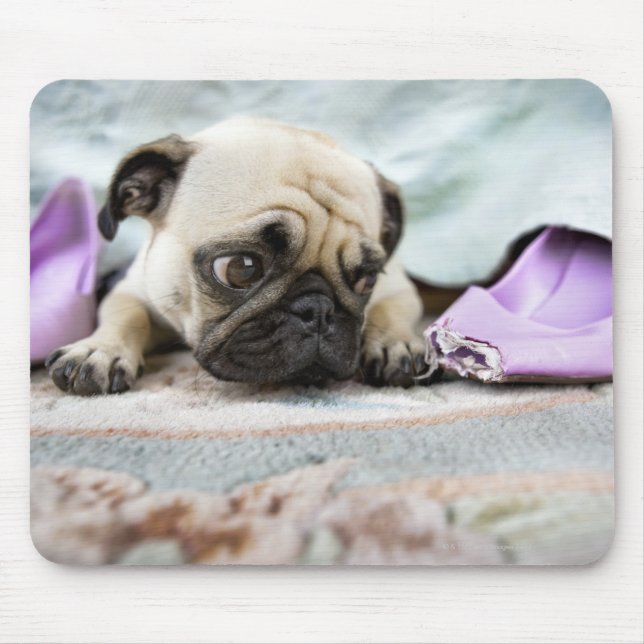 Mousepad Pug parece inocente depois de mastigar o dedo (Frente)