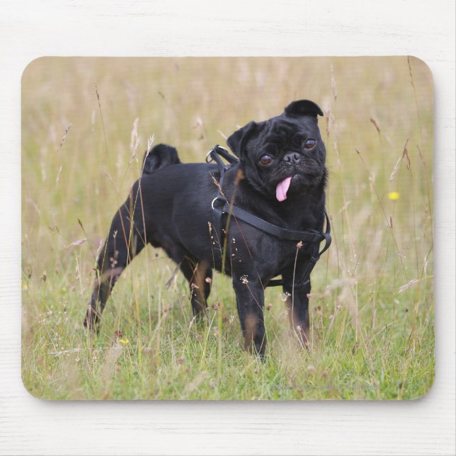 Mousepad Pug preto que cola para fora Tounge (Frente)
