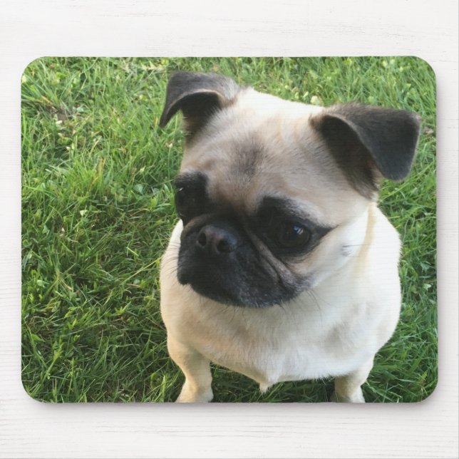 Mousepad Pug Puppy Photo (Frente)