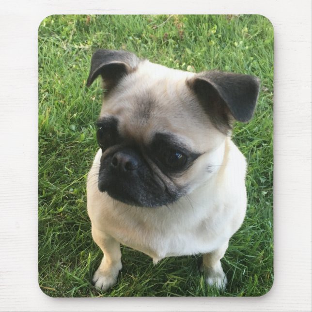 Mousepad Pug Puppy Photo (Frente)