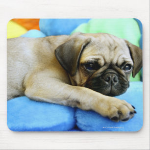 Mousepad Pug que coloca em travesseiros
