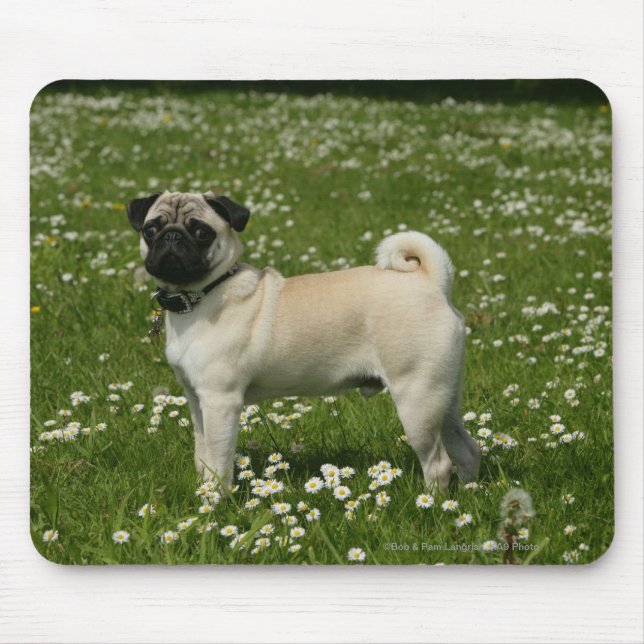 Mousepad Pug que joga nas flores (Frente)