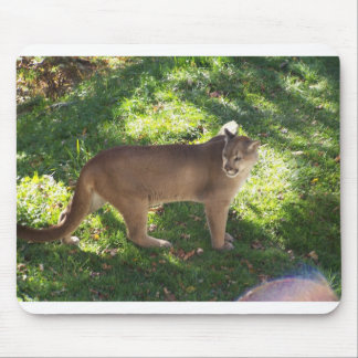 Mousepad puma