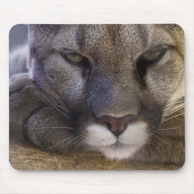 Mousepad Puma (Frente)