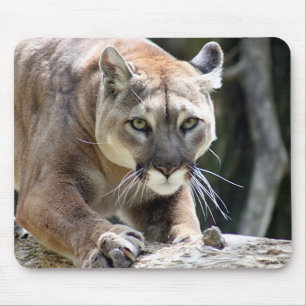 Mousepad Puma selvagem