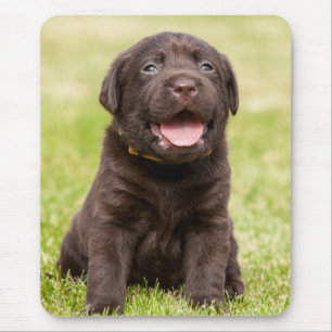Mousepad Puppie de chocolate