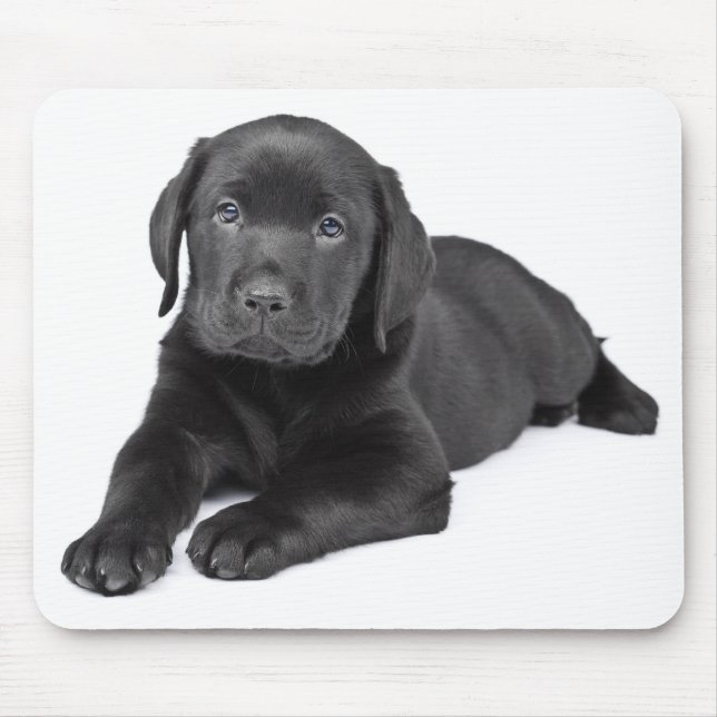 Mousepad Puppie-zumbido preto Labrador (Frente)