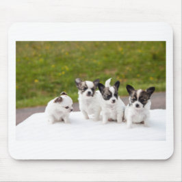 Mousepad puppies-453532.jpg
