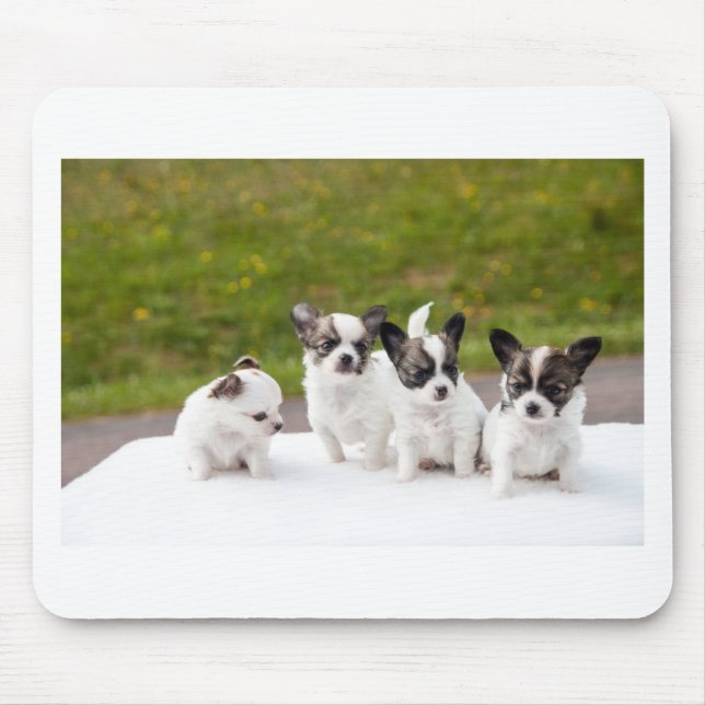 Mousepad puppies-453532.jpg (Frente)