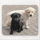 Mousepad puppies musepad<br><div class="desc">cachorros labradores</div>