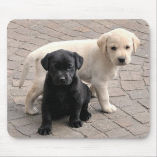 Mousepad puppies musepad