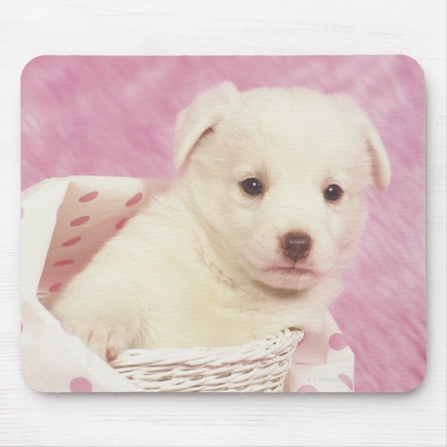 Mousepad Puppy 5 (Frente)