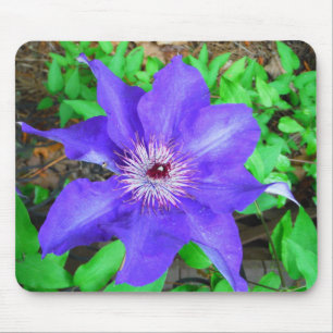 Mousepad Purple Clematis Flower