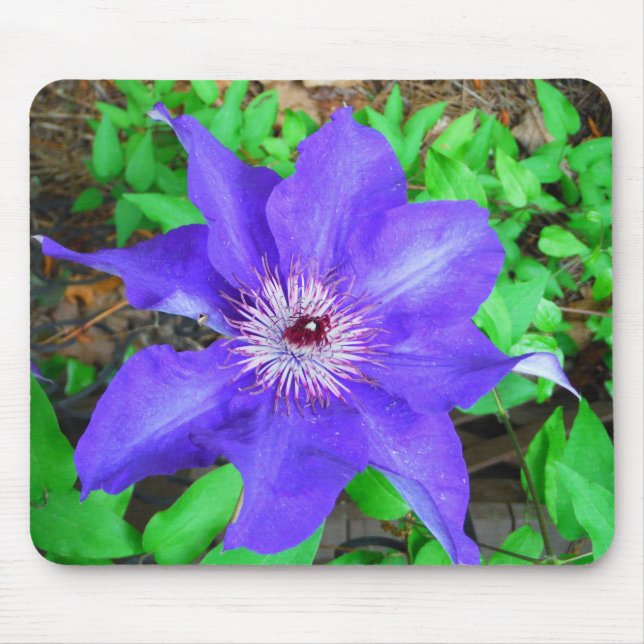 Mousepad Purple Clematis Flower (Frente)