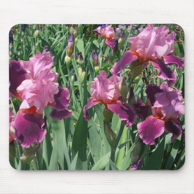 Mousepad Purple Irises Primavera Floral (Frente)